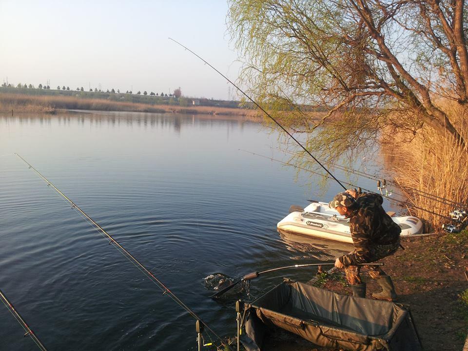 Tancabesti 28 - 29 mar. - 101684686602040173607361772001455n.jpg